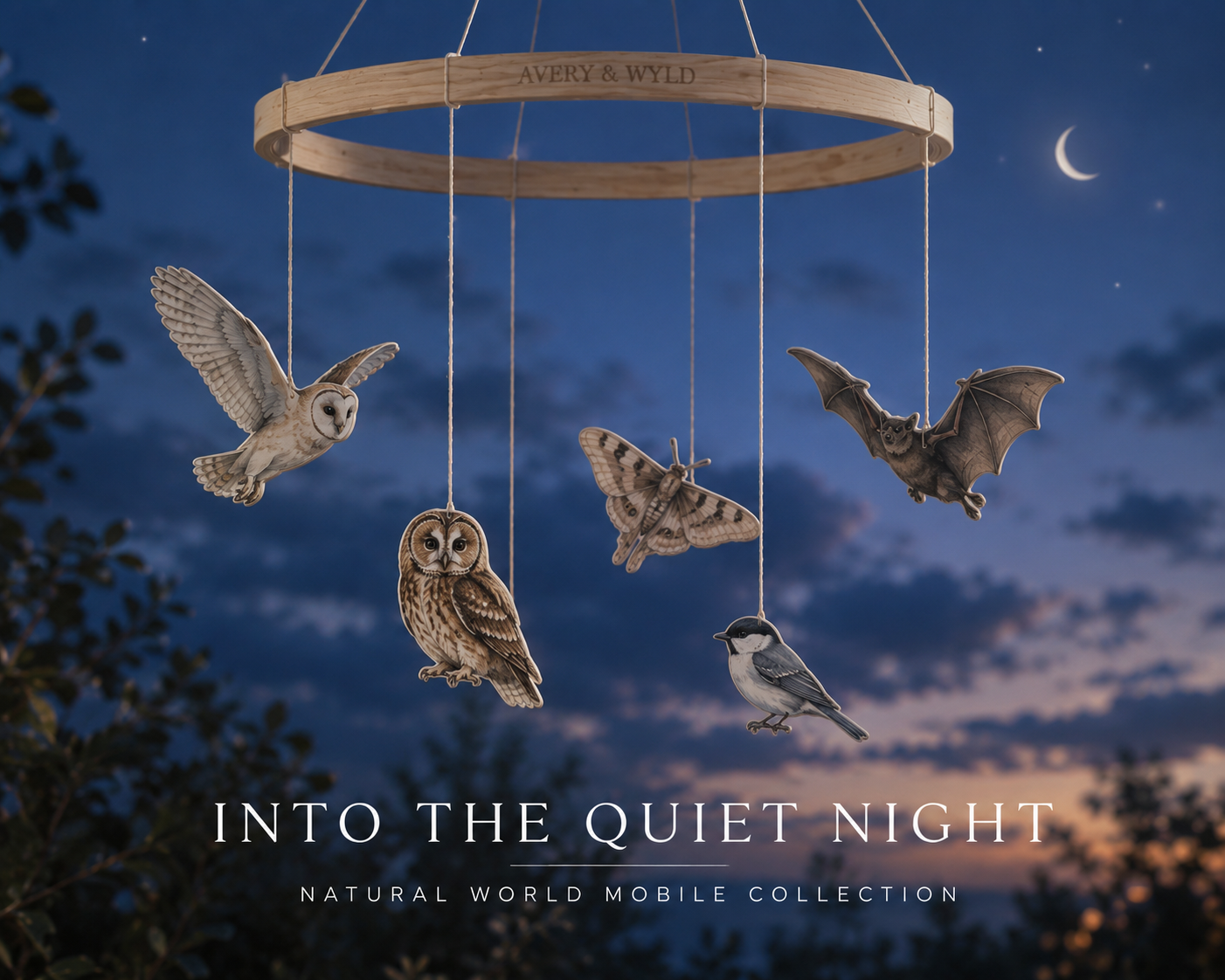 Into the Quiet Night