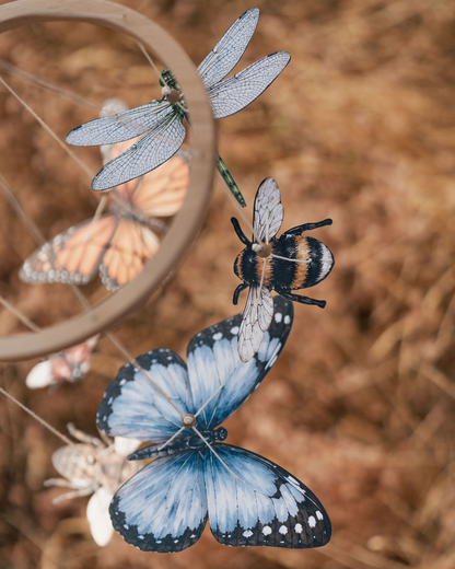 Wonder in the Wind