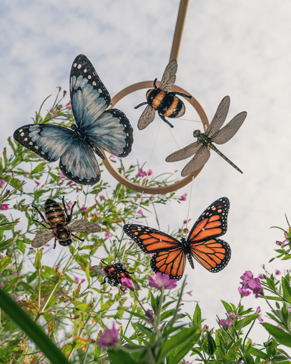 The Natural World Collection
