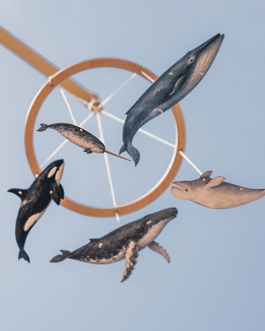 Into the Big Blue