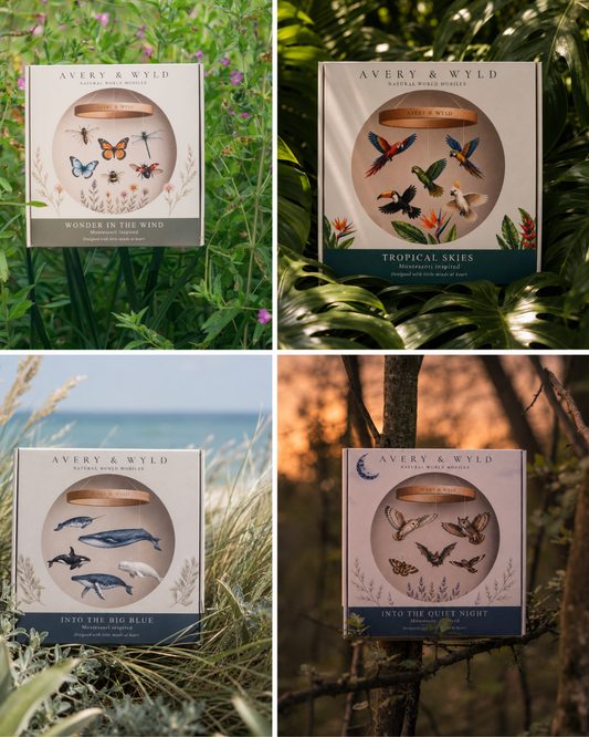 The Natural World Collection